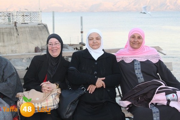 byareg 0226 (73).JPG